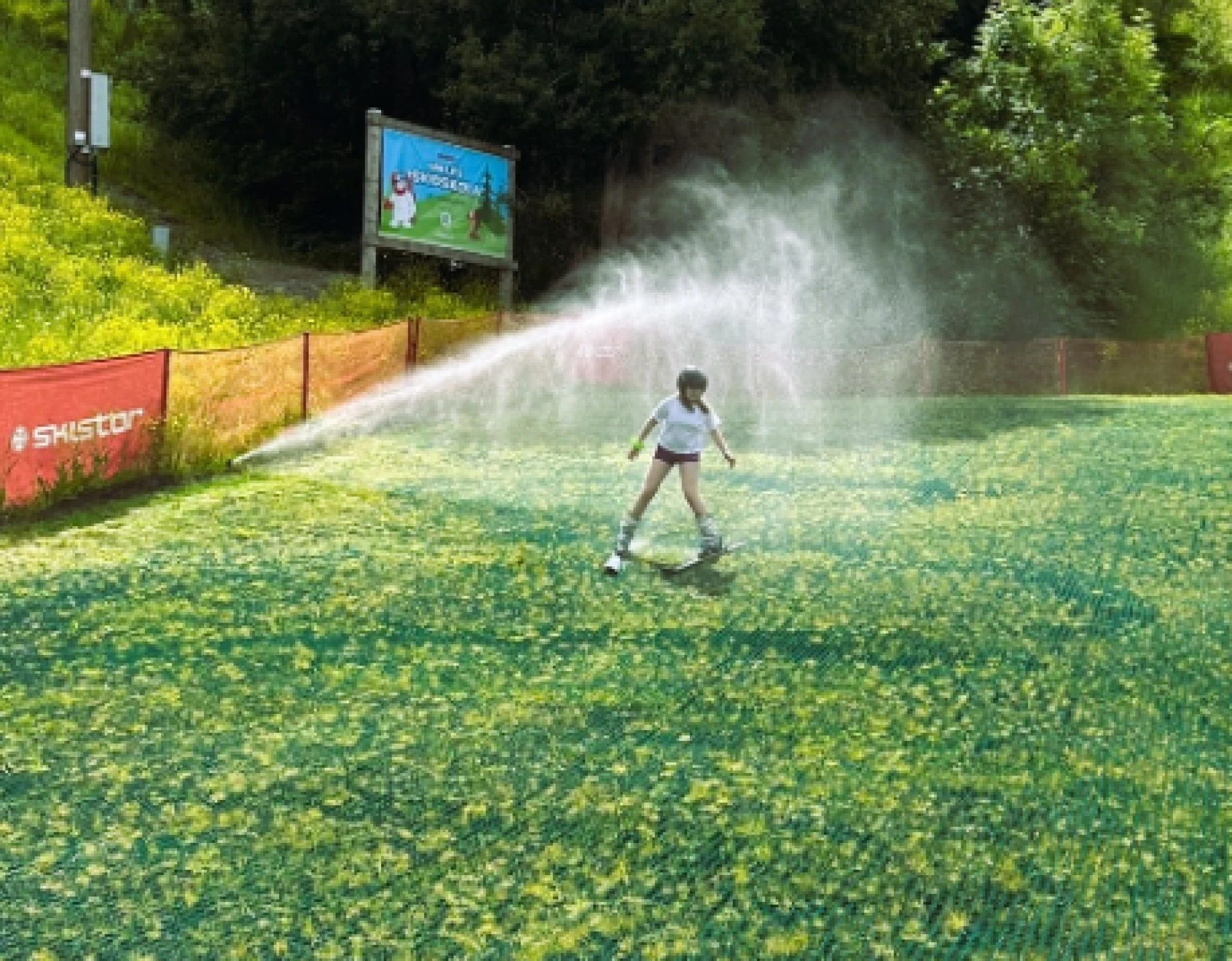 Text and image section image