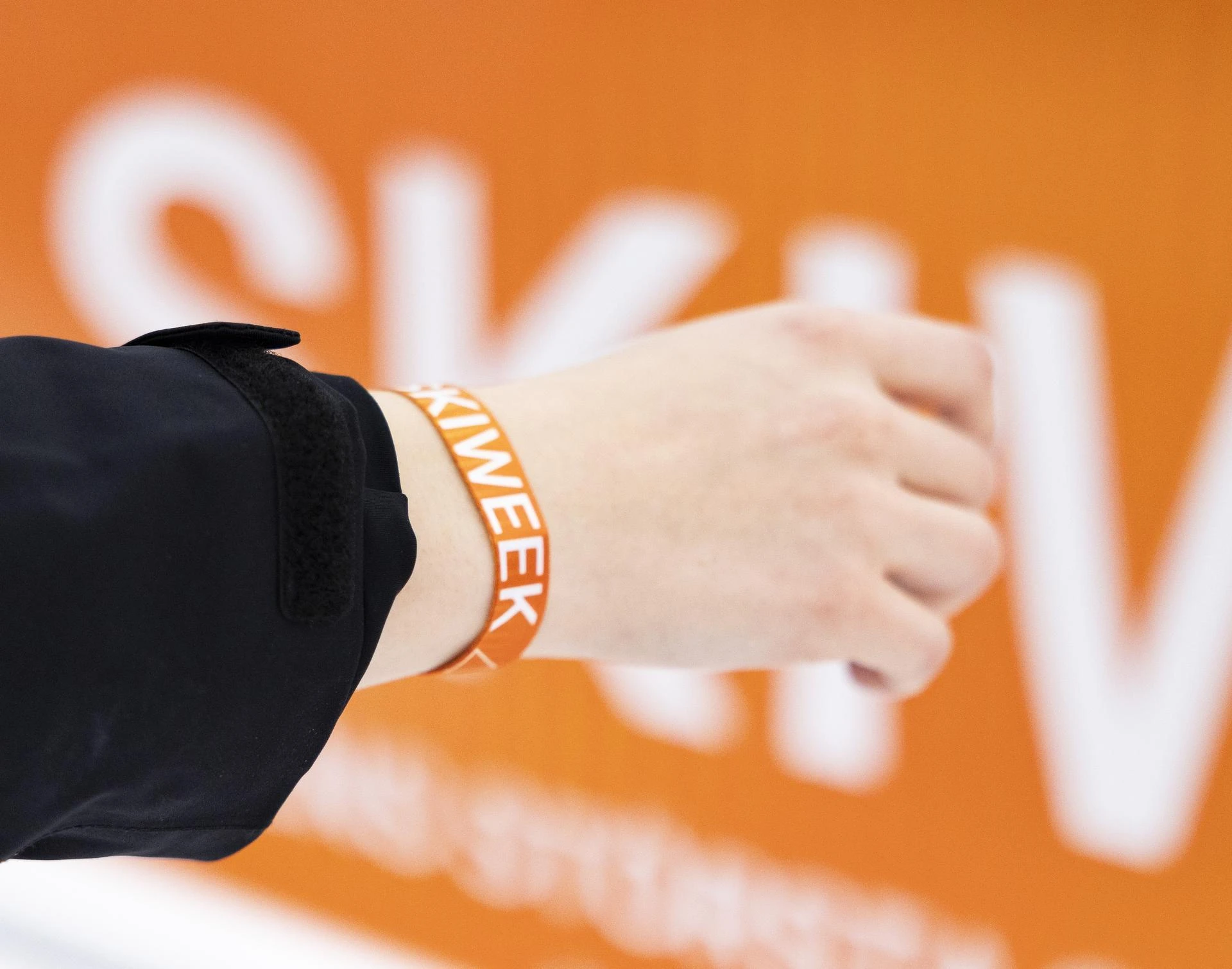 Text and image section image