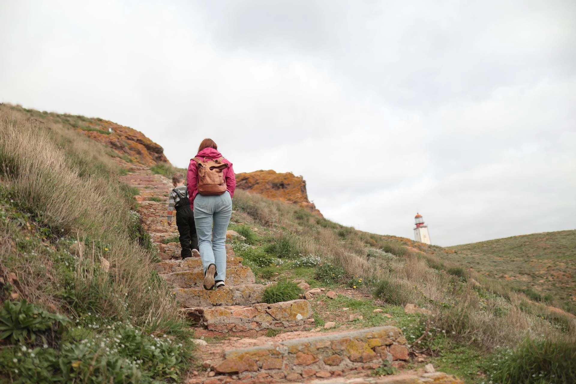 Text and image section image