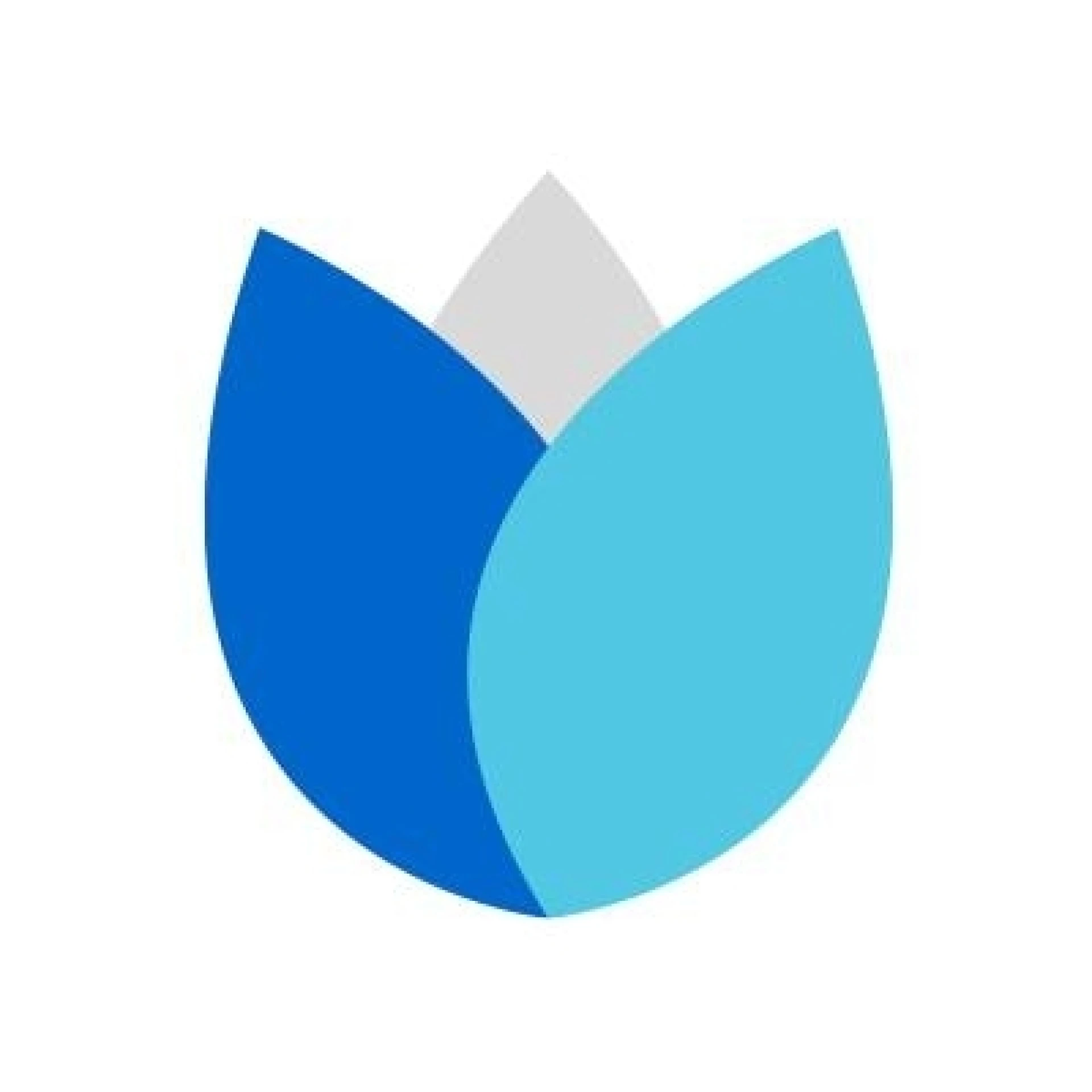 Text and image section image