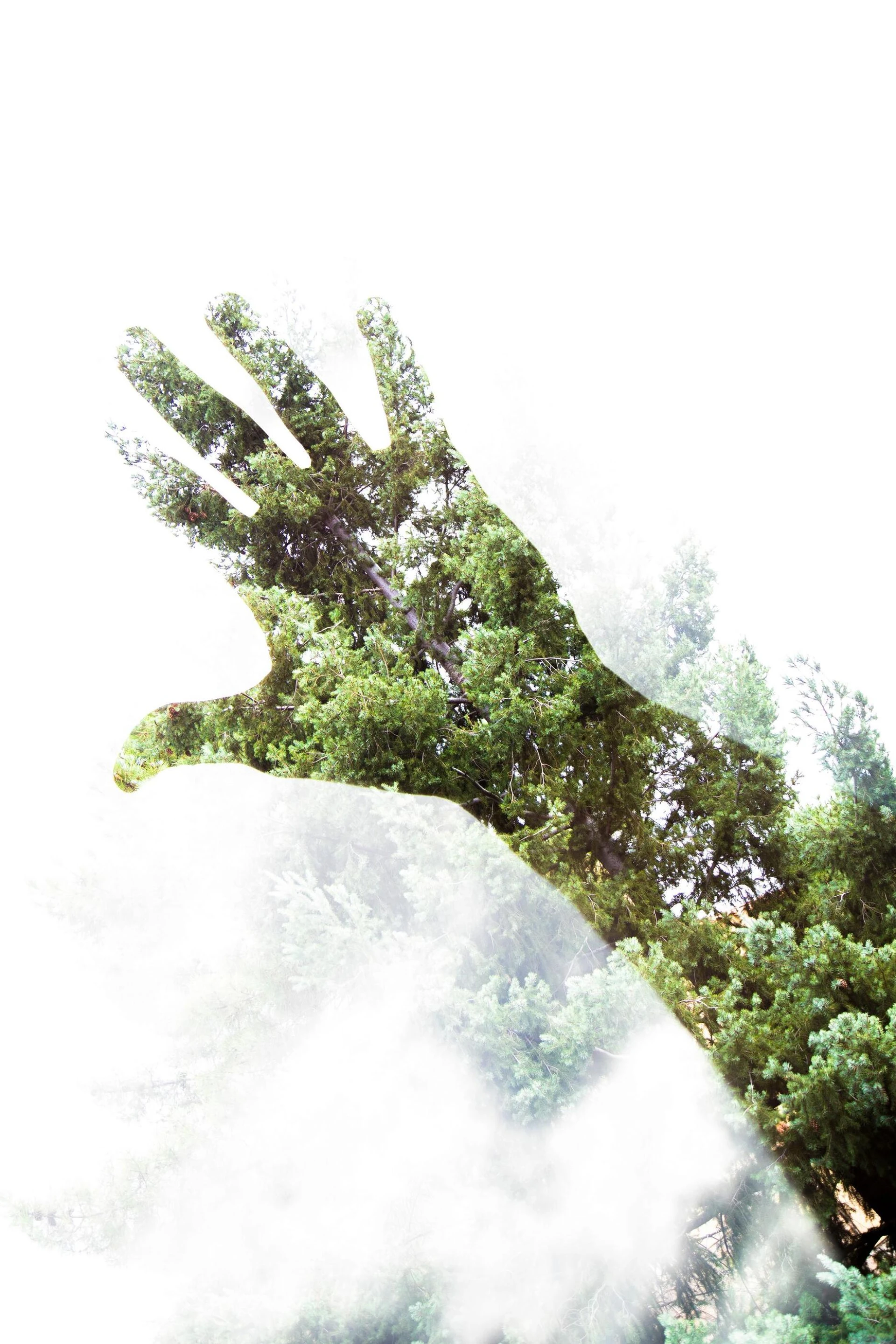 Text and image section image