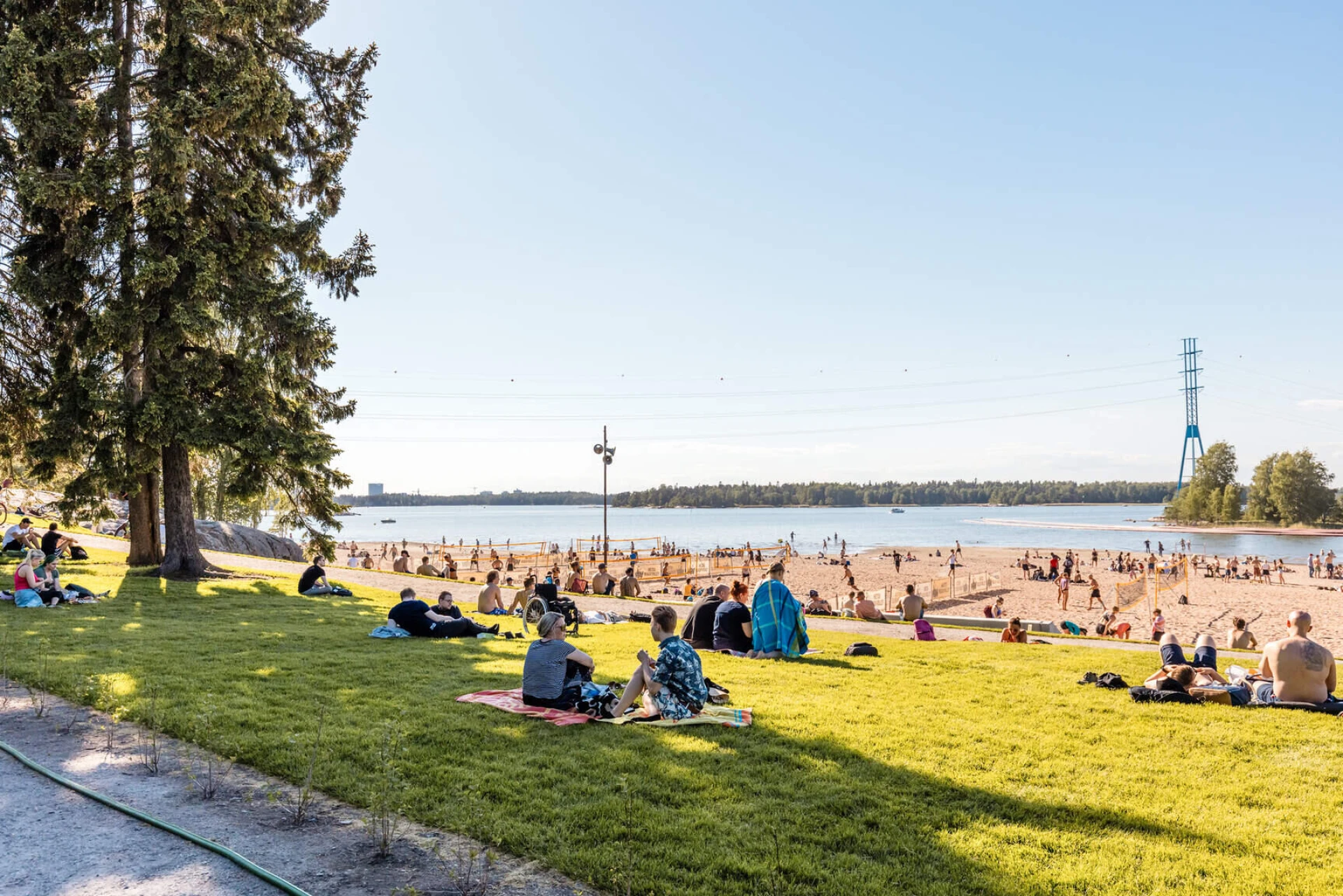 Text and image section image