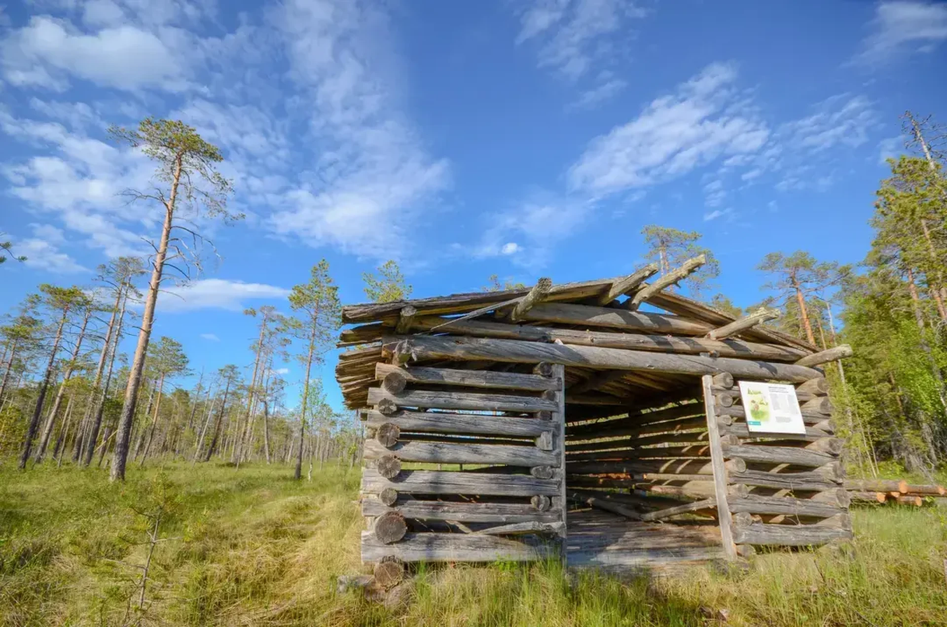 Text and image section image