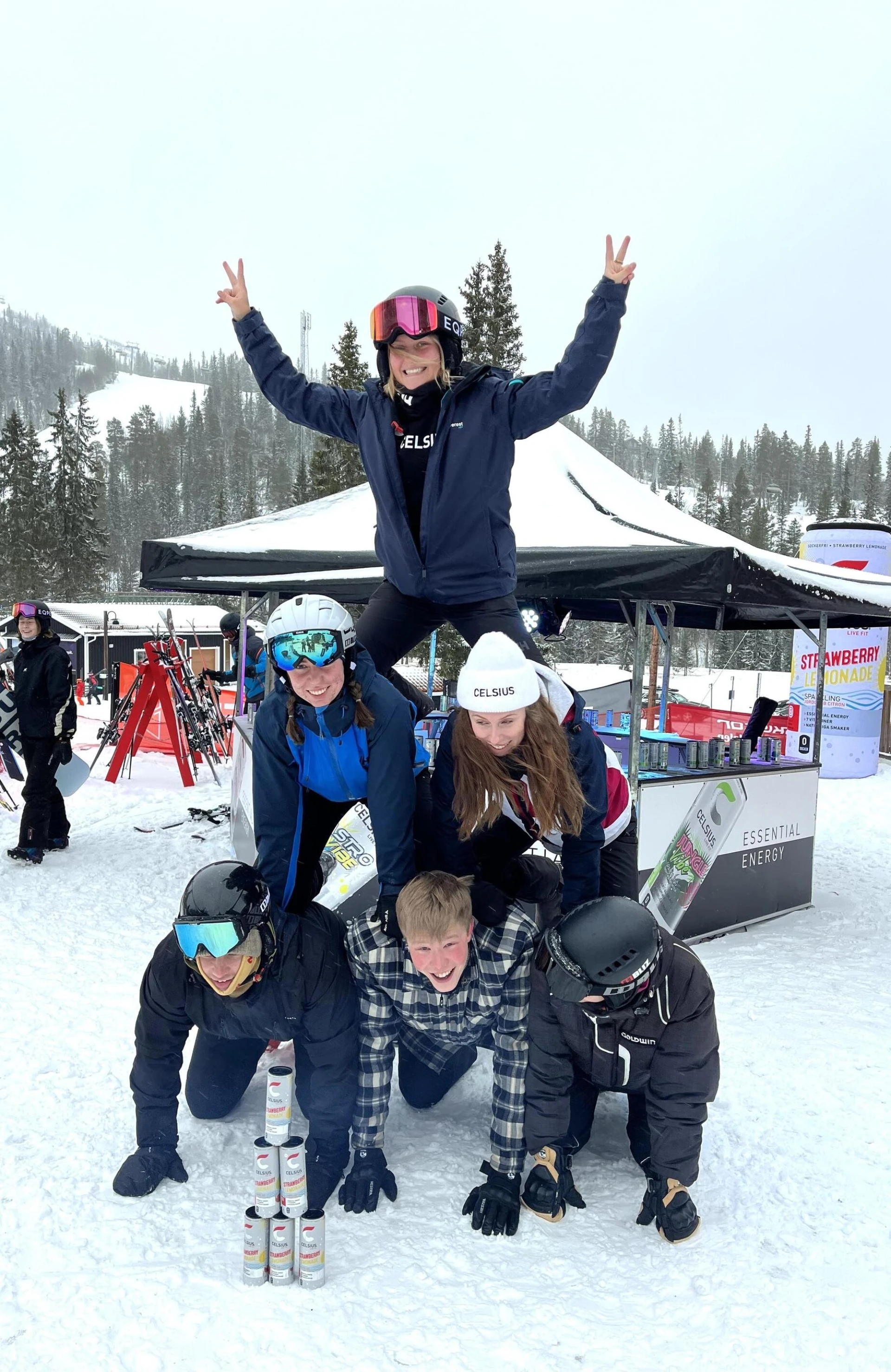 Text and image section image