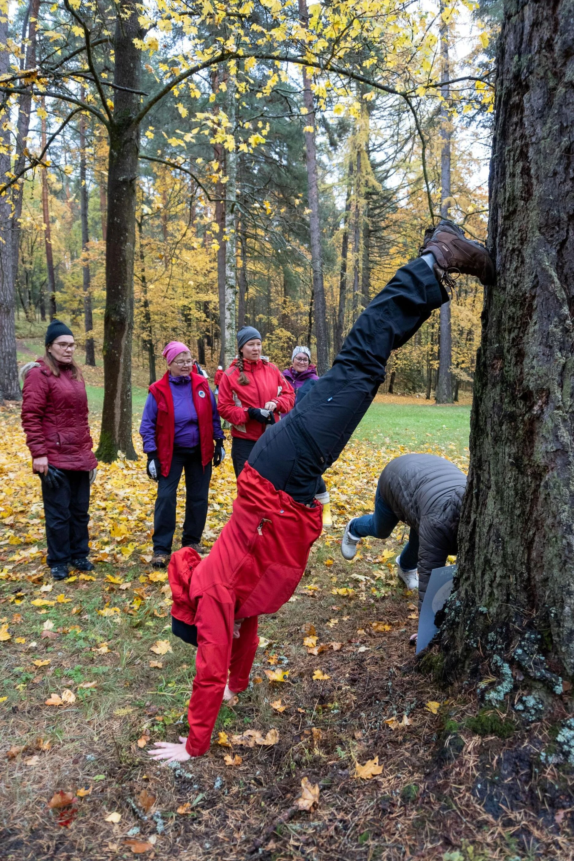 Text and image section image