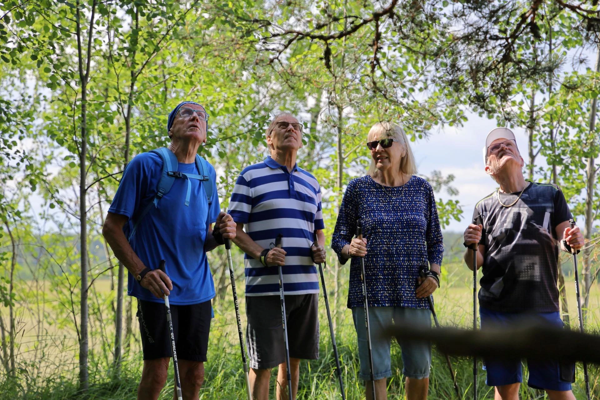 Text and image section image